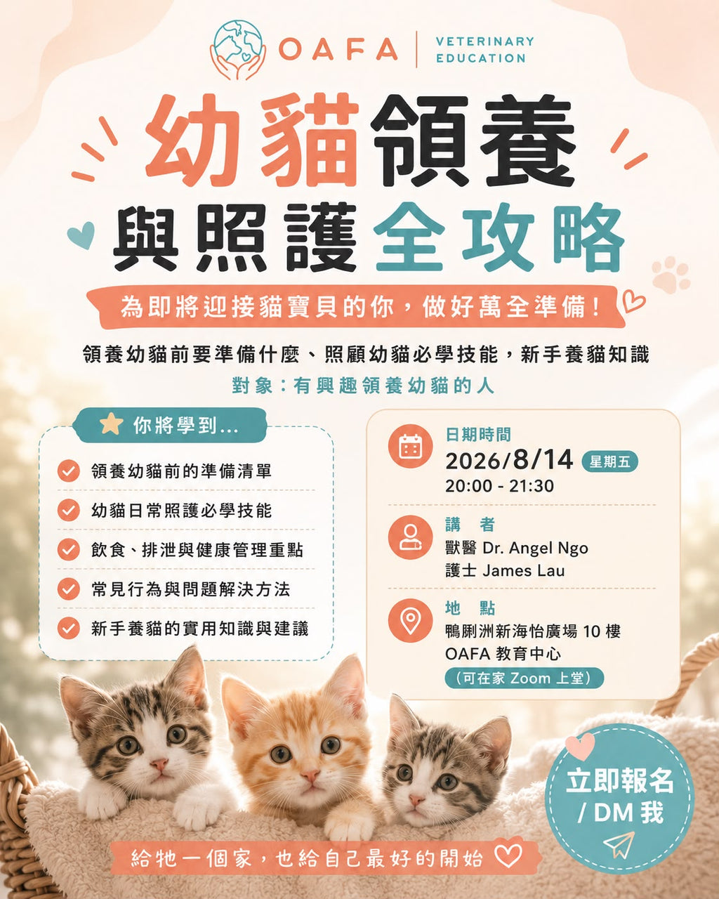Home Club 支援領養人：領養幼貓，高齡與病弱貓狗的一生照護