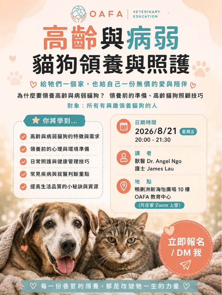 Home Club 支援領養人：領養幼貓，高齡與病弱貓狗的一生照護
