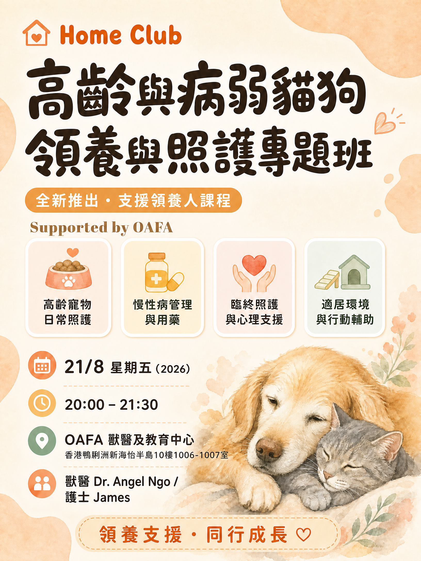 Home Club 支援領養人：領養幼貓，高齡與病弱貓狗的一生照護